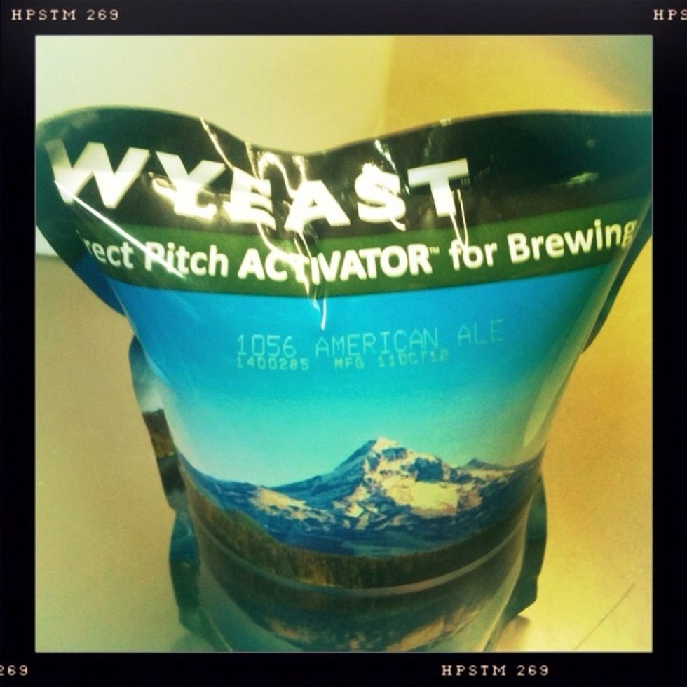 A couple of days before brewing, remove yeast pack from fridge and "smack" as shown on the package. Leave it in a warm place to incubate (make take a couple of hours-a couple of days).