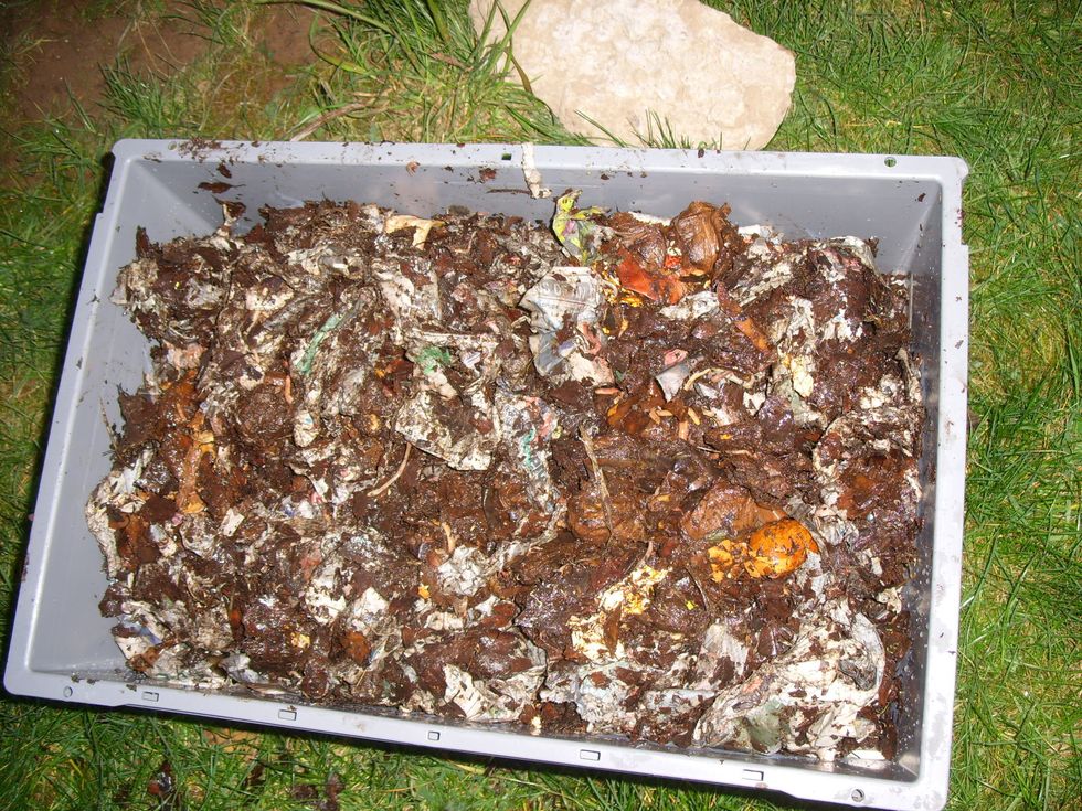 How to set up a wormery (worm composting) B+C Guides
