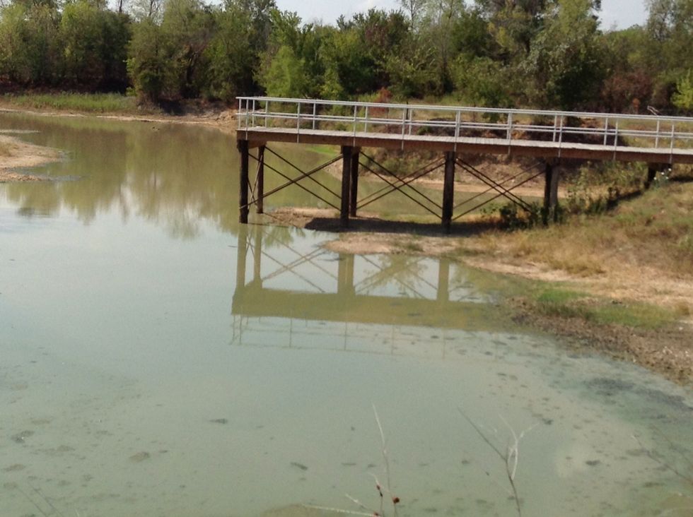 A dock so you can see the water better(day1).