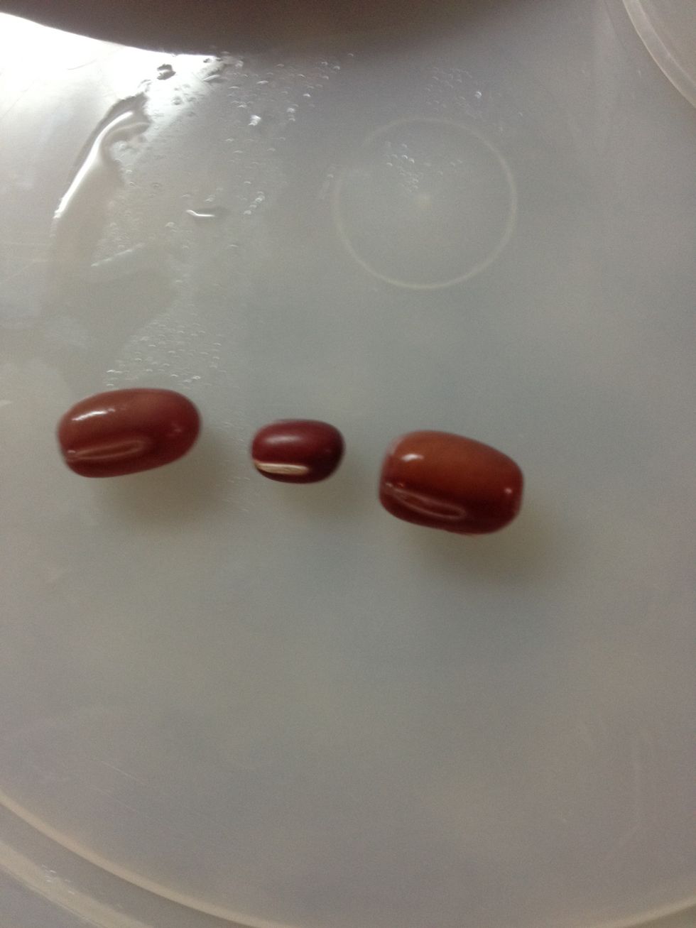 A dried un-soaked bean in between two soaked beans.  It grows pretty much and also changes the color a bit.