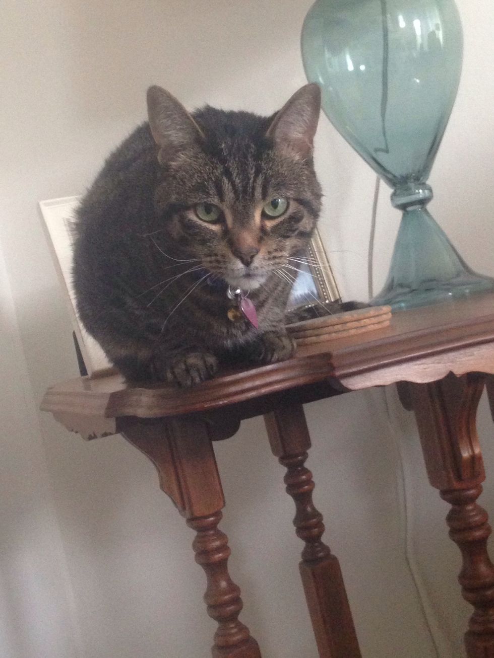 A facade is what you first see not what is truly their.