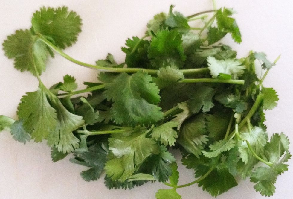 A few sprigs of cilantro.