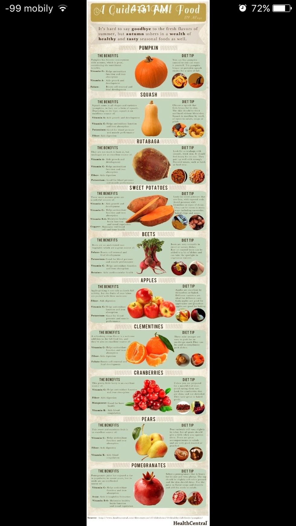 A GUIDE TO FALL FOOD