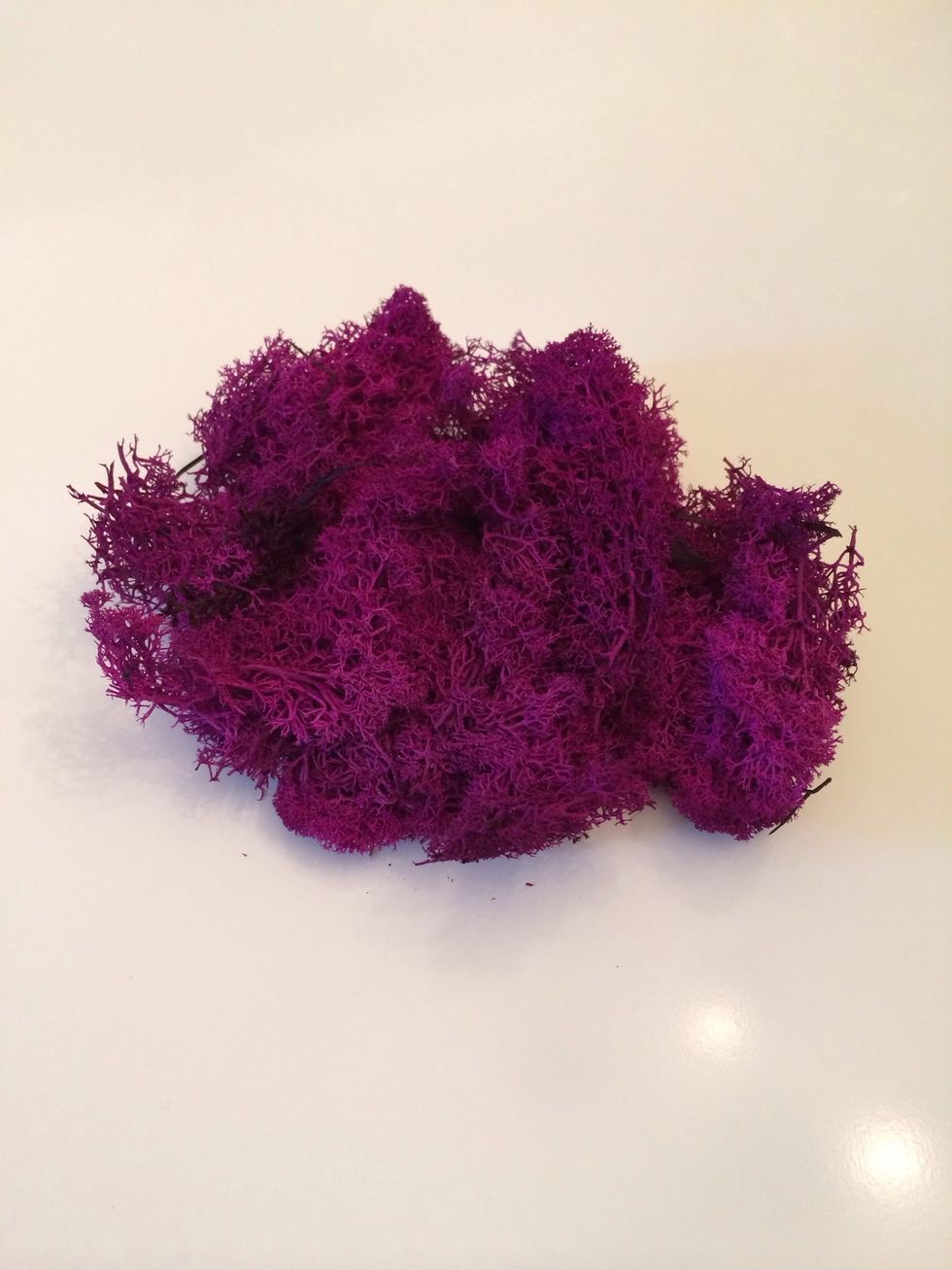 A handful of moss. I've chosen a fun pink colored moss!