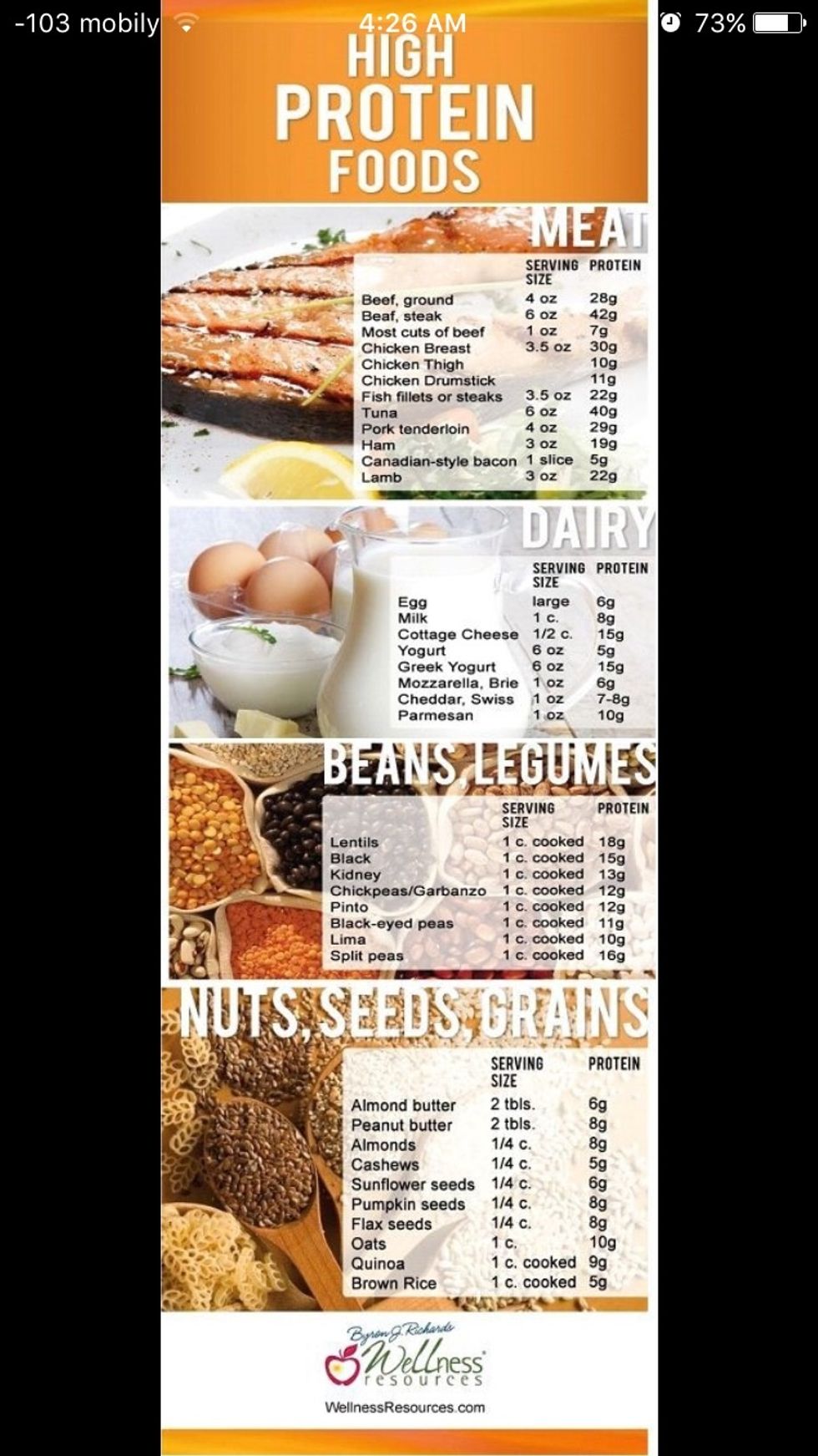 A LIST OF FOODS THAT ARE HIGH IN PROTEIN