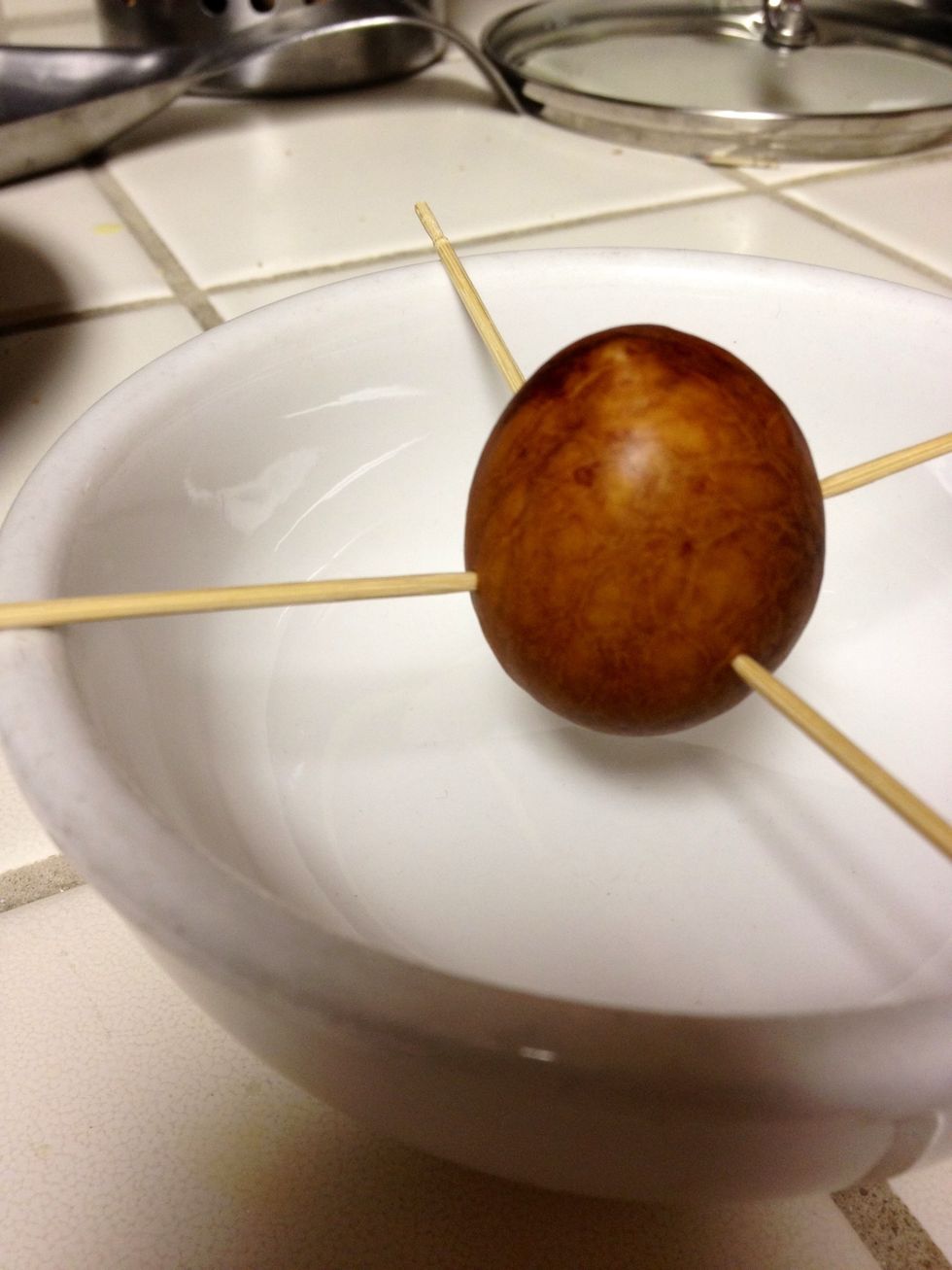 A little closer view. Again, the pointy end is on top. The plant will sprout from here.