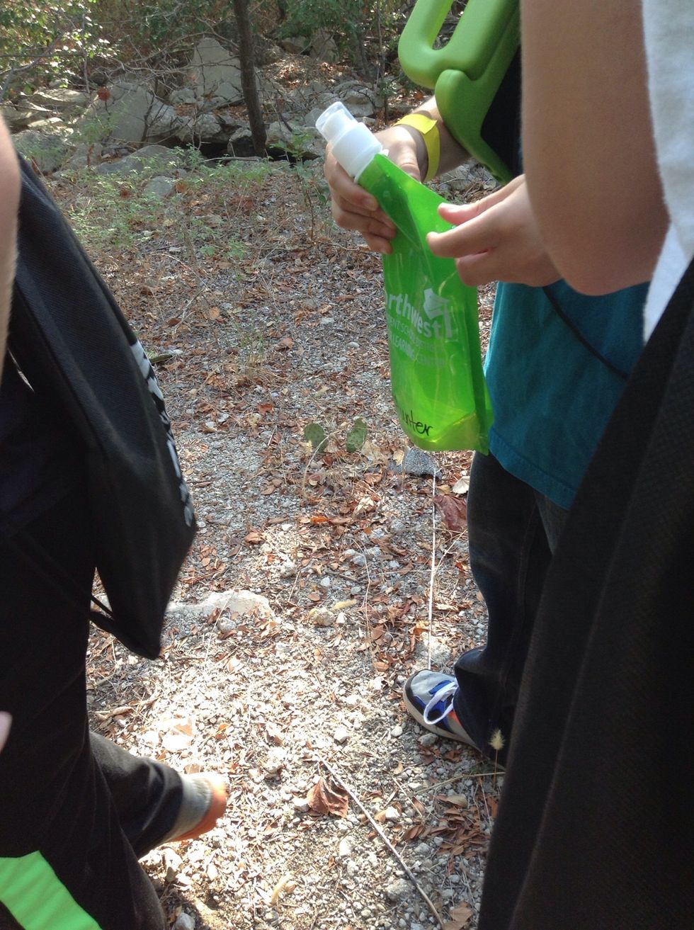 A live cactus in the olc.