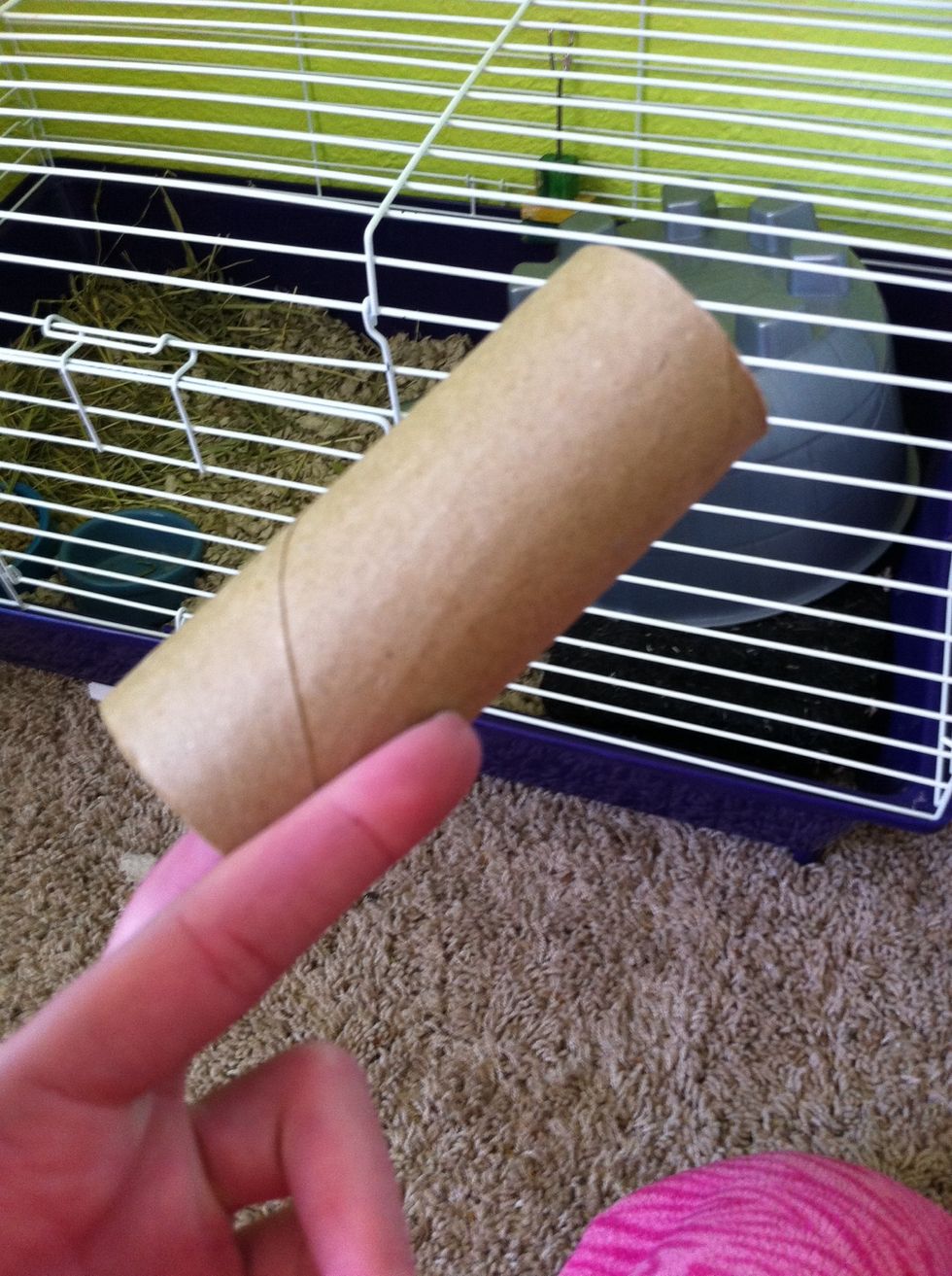 A paper towel tube has many uses. (See my how to on paper towel tubes for info)