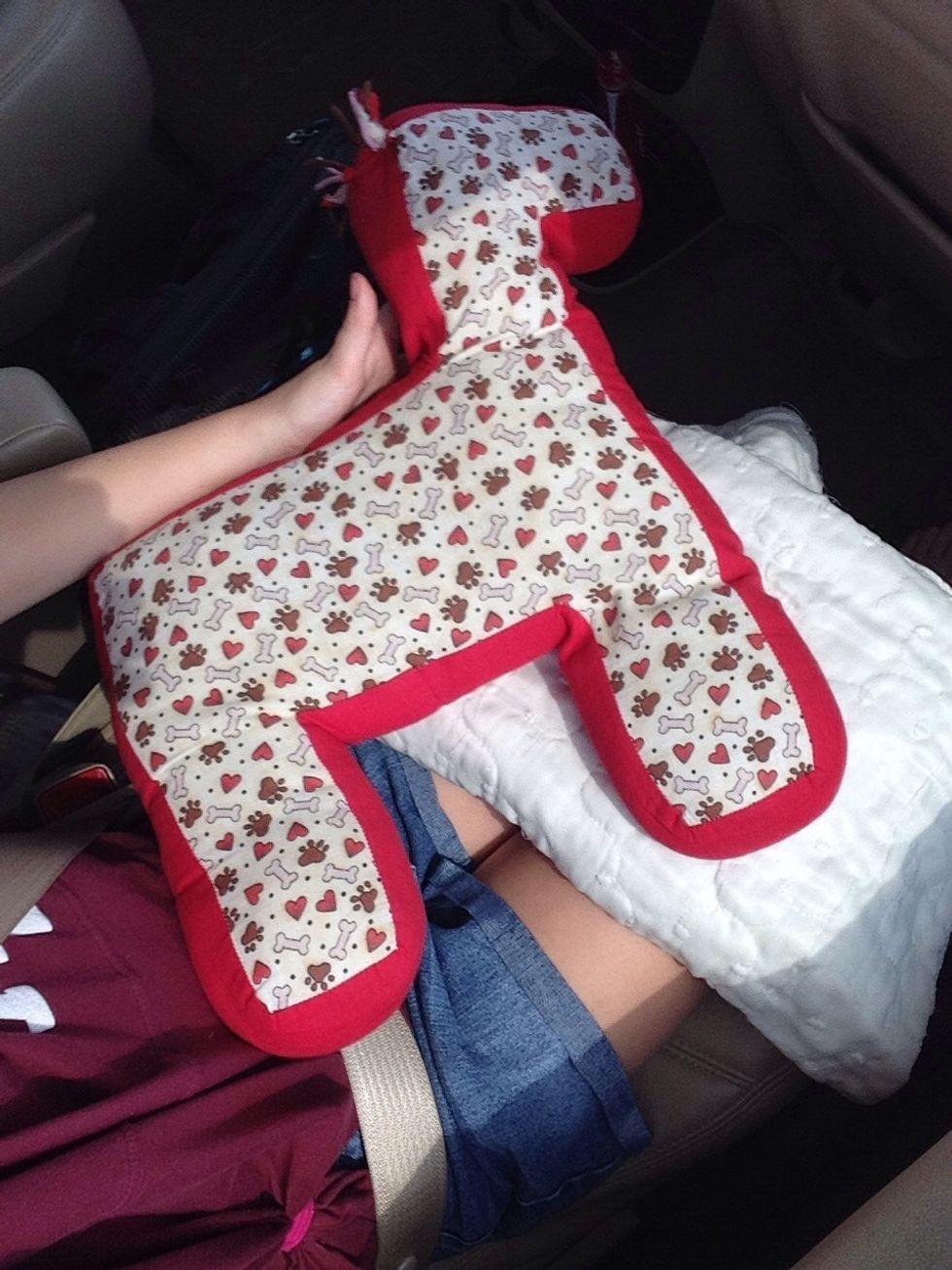 A pillow and blanket for naps if your taking a long trip