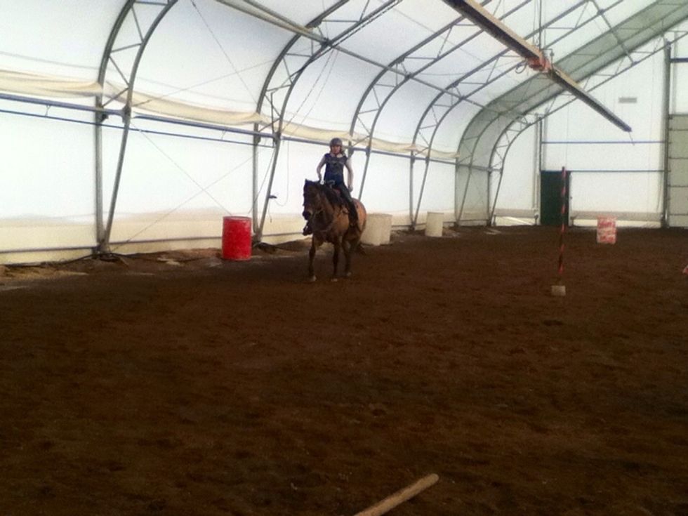 A posting trot is a two beat diagonal gait. The diagonal pair of legs move forward together each beat. This is a very stable gait that doesn't require major neck or head movements from the horse.