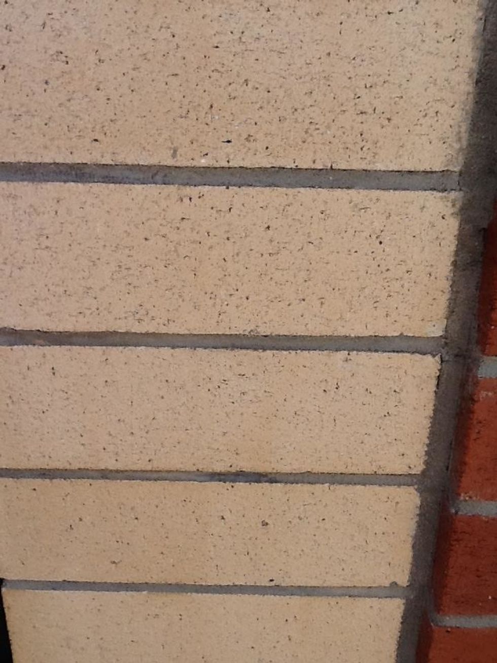 A rectangle is a shape that has 2 pare of parallel lines.