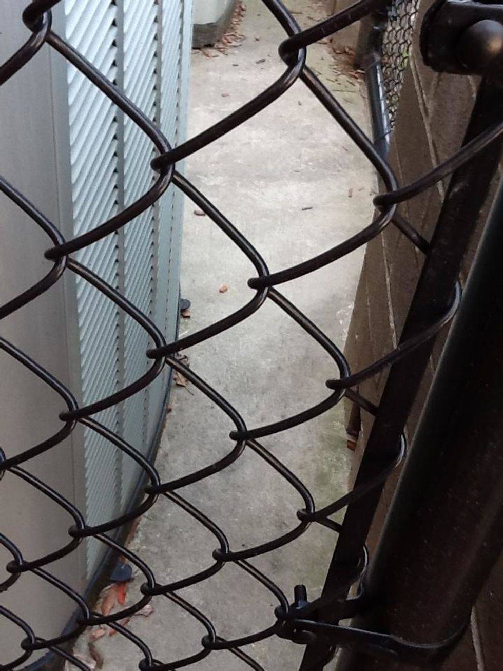 A rhombus is a shape that has all equal sides.