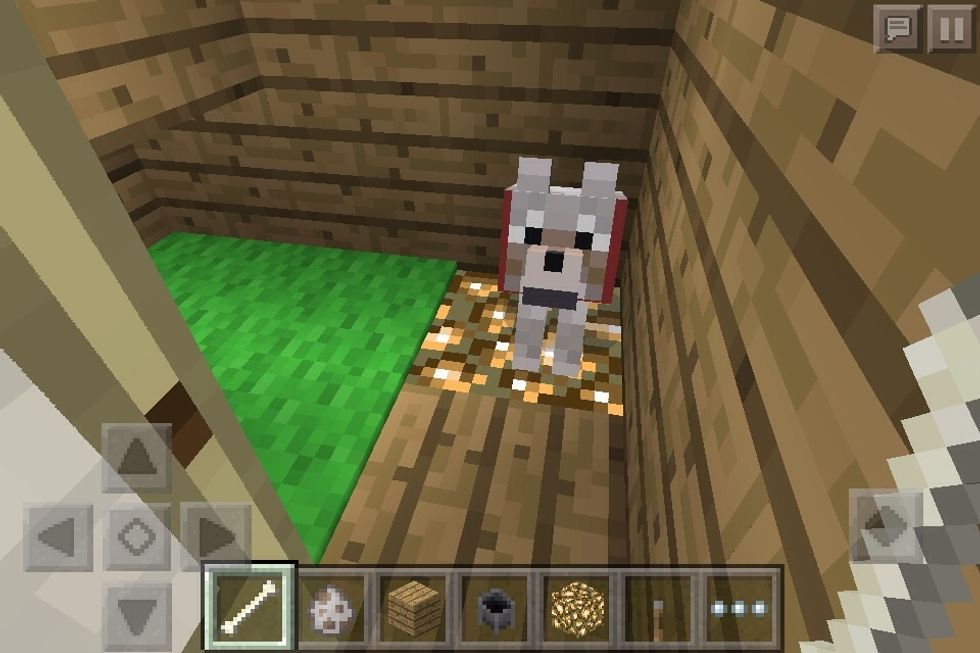 A room for my doge!