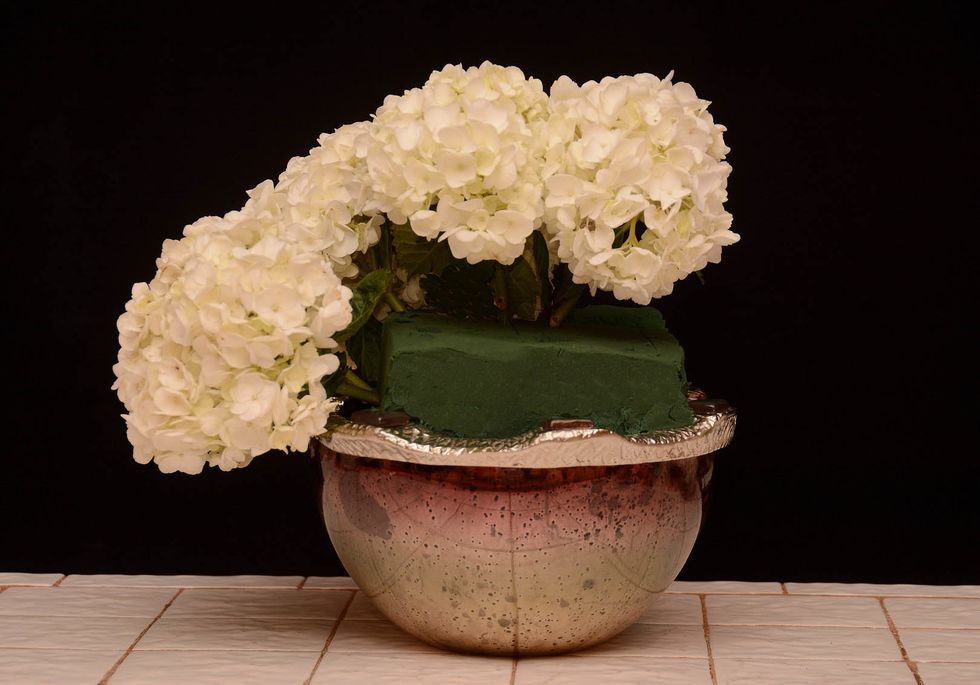 A second and third hydrangea go around the container, placing next to the one out to the left side. We are placing them in a circle working clockwise\u2026.