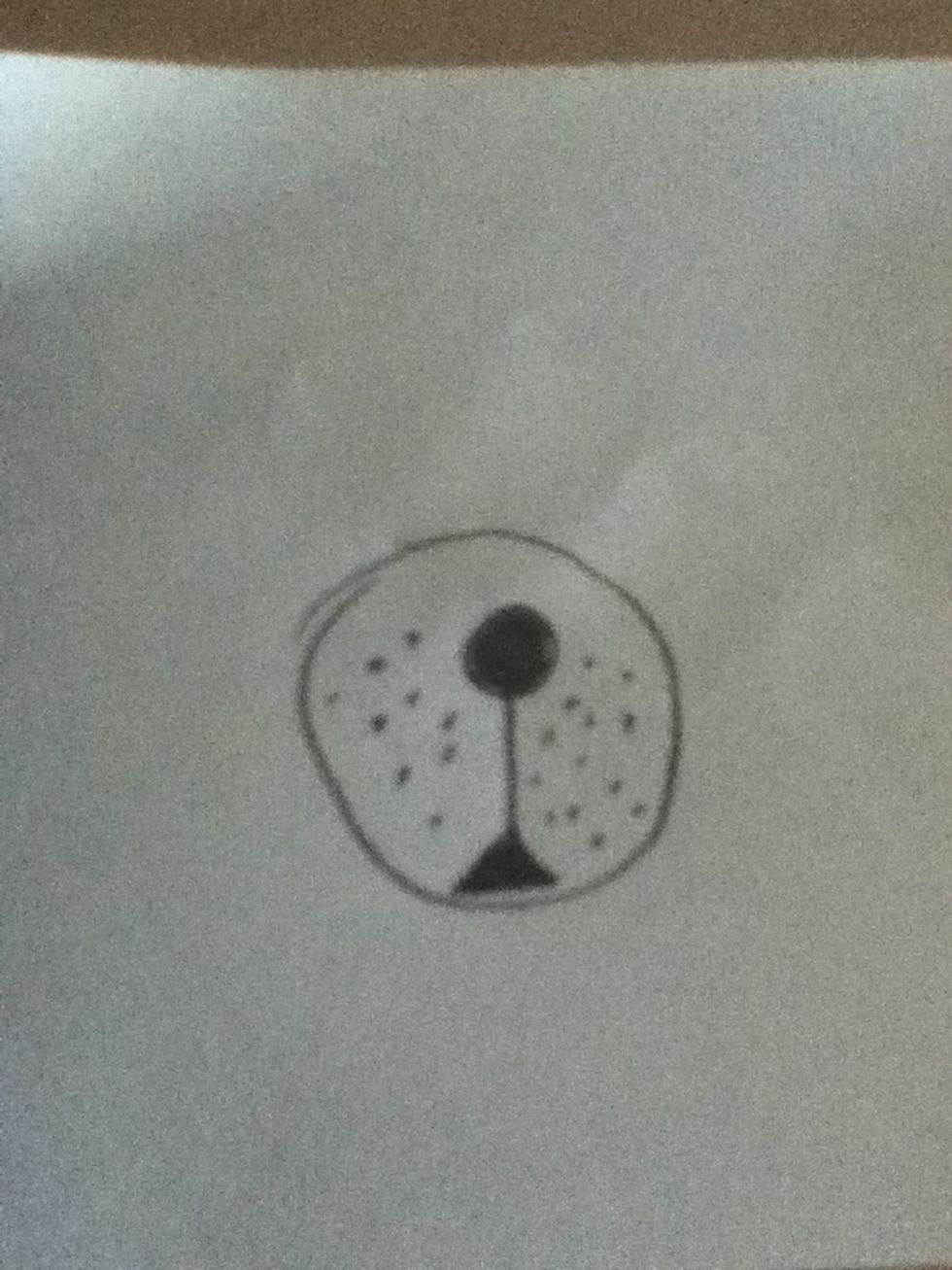 a swarm of bees surrounded her, and she jumped into a lake