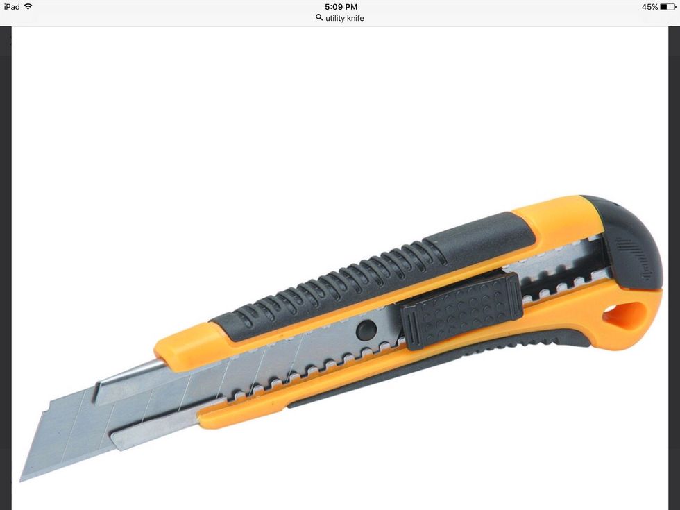 A utility knife is a general knife used for utility purposes. I can use a utility knife for cutting a carrot.