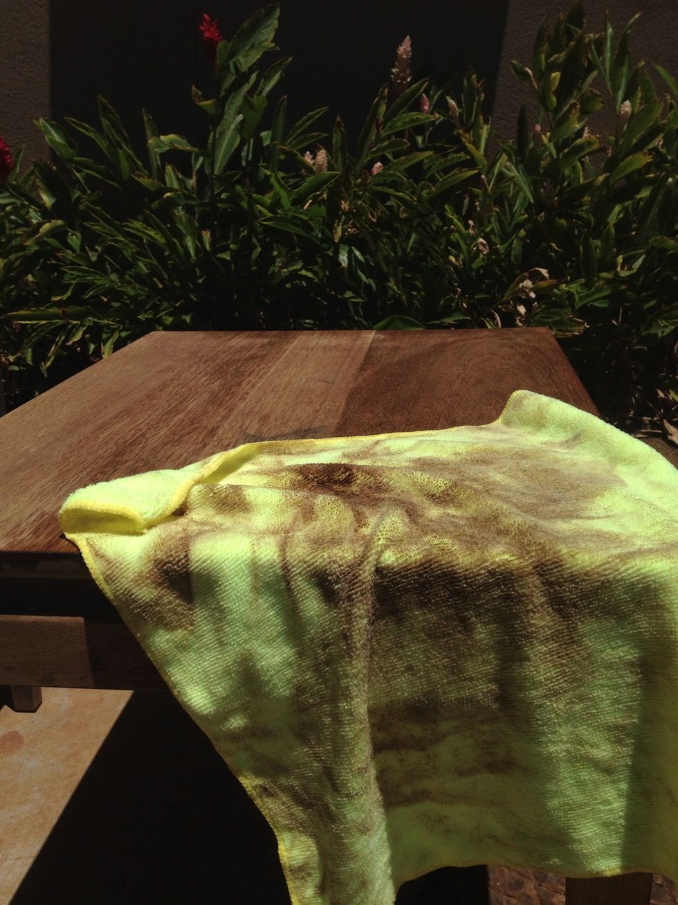 A wet towel will grab the dust. If you miss this step the paint will not adhere properly. Look at how much just one pass picked up. Don't use solvents as they may keep the paint from adhering