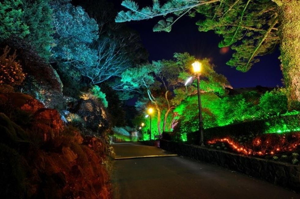 A wonderful idea to have few garden torches which can illuminate the artwork of the front garden more clearly at dark.