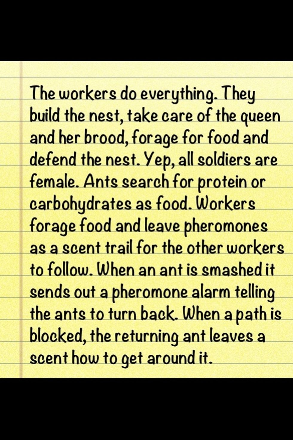 About worker Ants, which are all females..the ones we see crawling around. ... we women complain about doing everything..female ants really do!