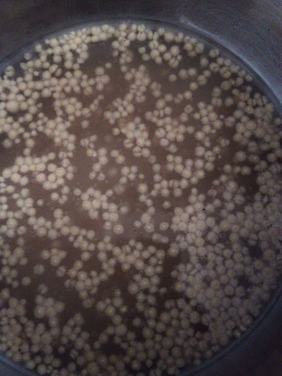 Activate the yeast in warm water with a tea spoon of sugar