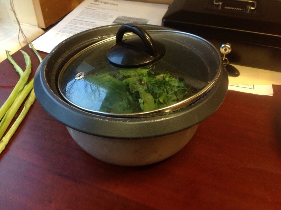 Actually, I used the electric kettle in the kitchen to boil some water and then just added the greens to blanche. It's great as a mixing bowl or just warming up what you brought from home.