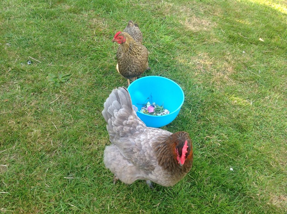 Actually we had extra help as well!