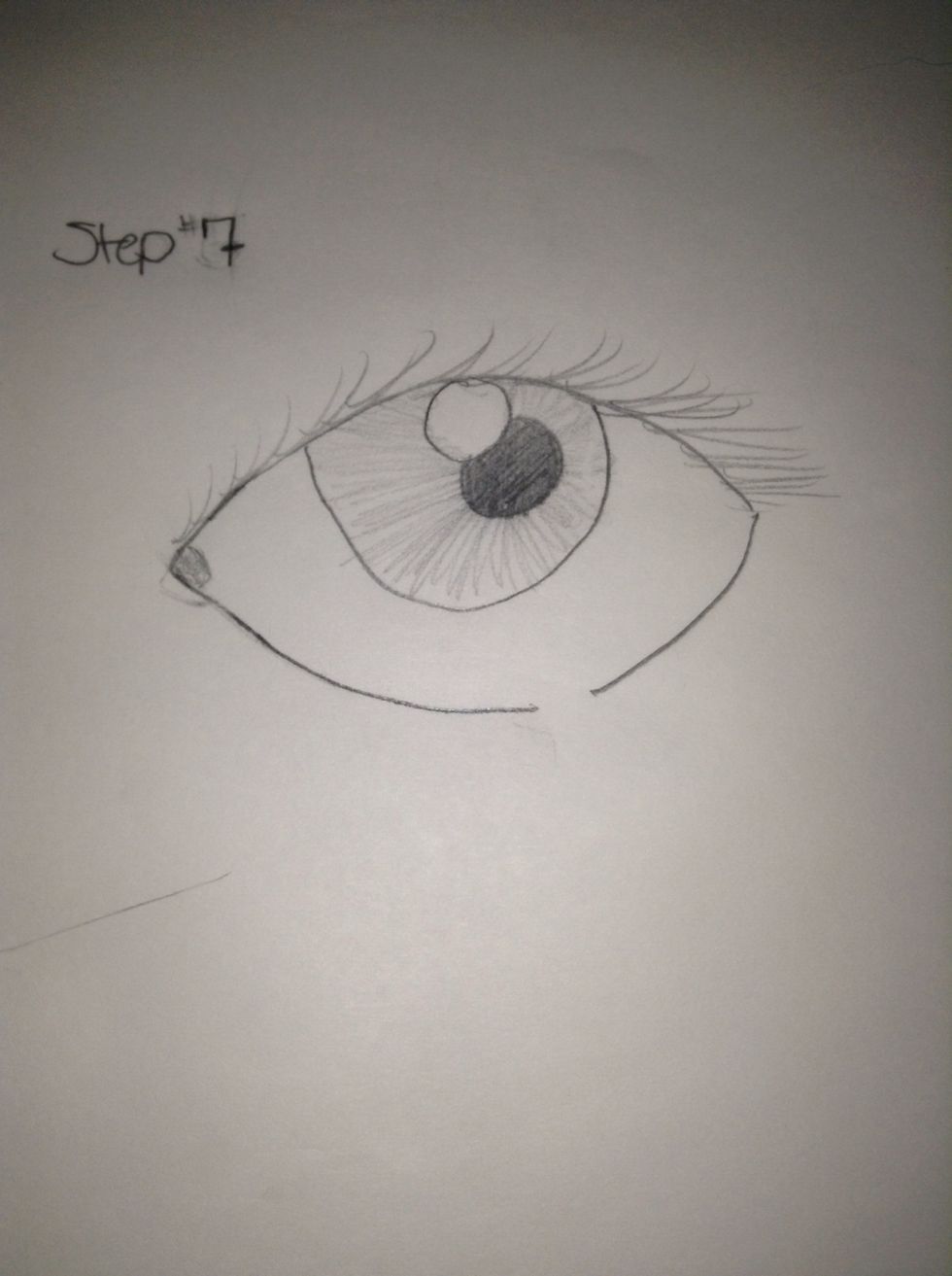 Ad the to eye lashes