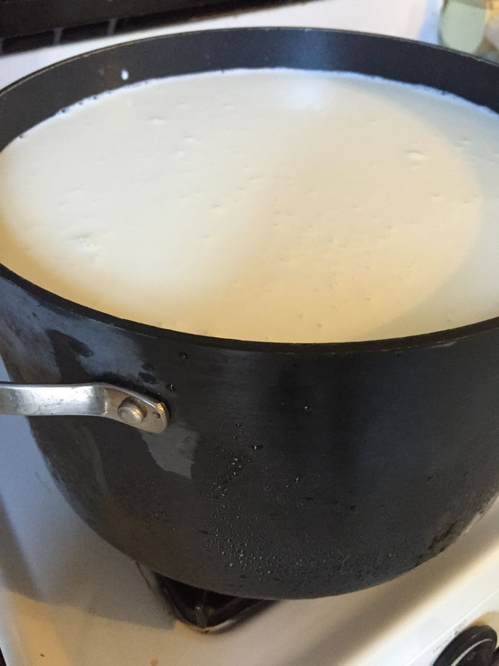 Add 1 1/2 gallons of milk, 2 cups of heavy cream and 1 teaspoon of salt to a heavy bottomed pan and heat, stirring occasionally, on medium until it reaches 180 degrees.