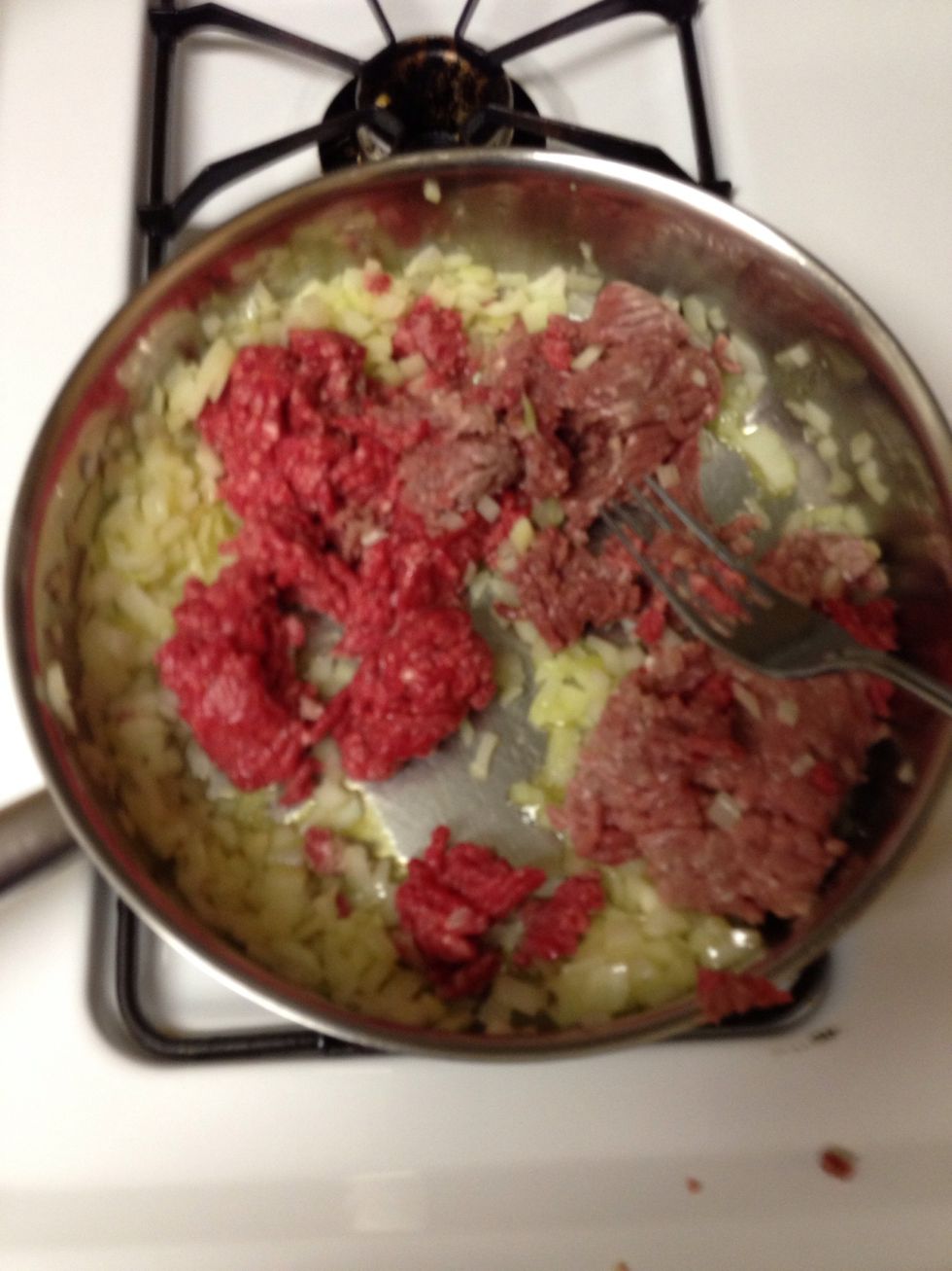 Add 1/4 pound veal 1/4 pound lamb & 1/2 pound sirloin