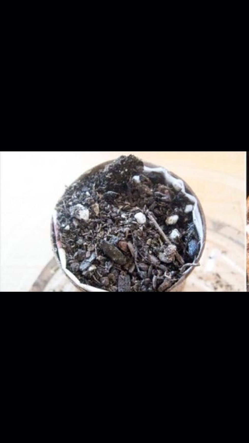 Add 1 layer if soil then add your seed, then sprinkle a thin layer on top.