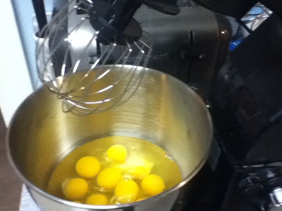 Add 12 eggs to mixer, and blend at a low speed until thoroughly mixed.
