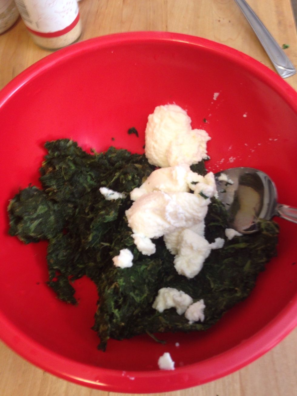 How to make spinach and cheese ravioli filling - B+C Guides