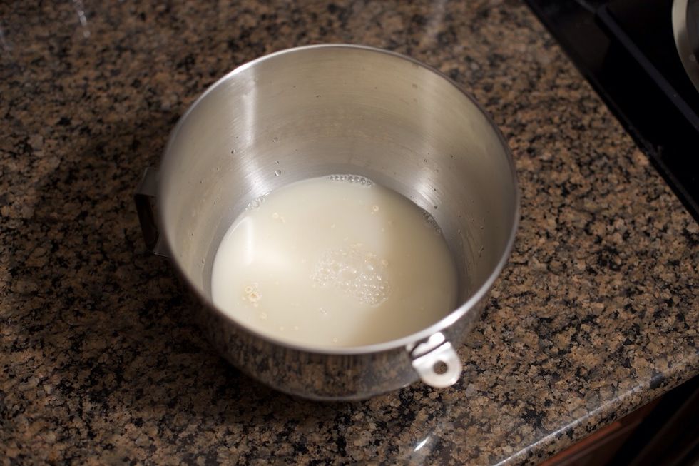 Add 2 cups lukewarm water and stir until dissolved. Set aside for 10 minutes in a warm place. If the bowl is on a stone counter like granite or marble, put it on a towel to prevent heat loss.