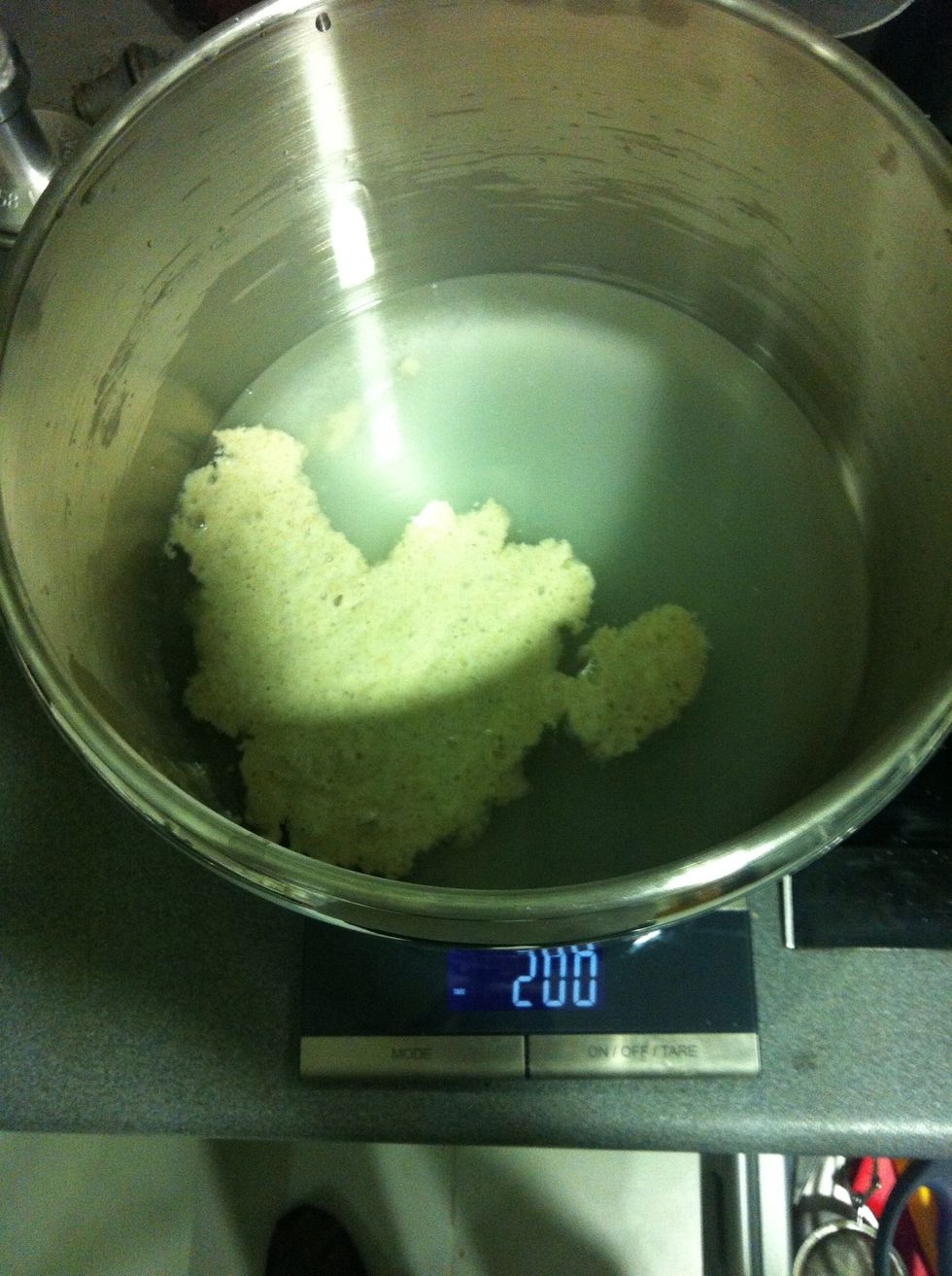 Add 200g of your leavener, it should float in the water