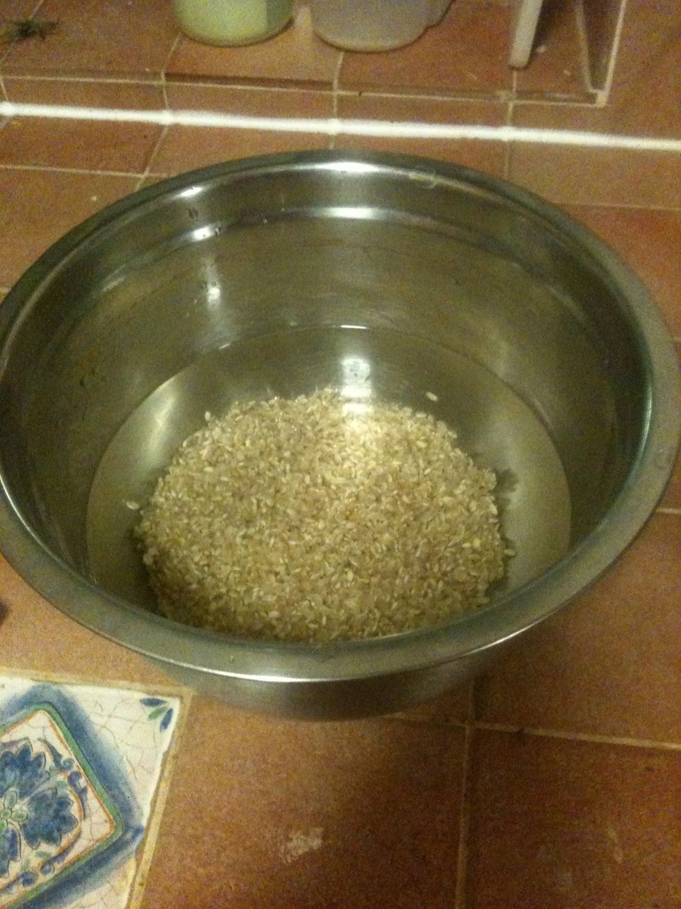 Add 3 times the amount of water, and leave it for 24 hours. I use filtered water because our water tastes like chlorine, but your water may be okay.