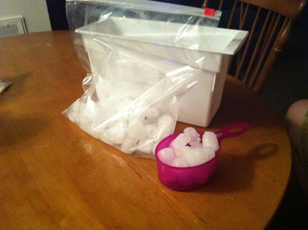 Add 4 cups of ice to a gallon bag.