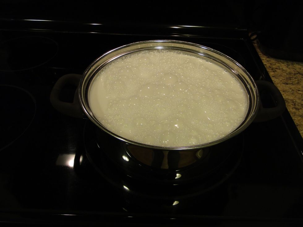 Add 4 liters of milk to a pot, mine was barely large enough.