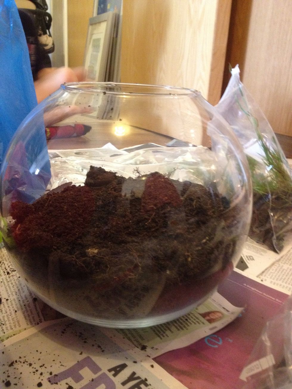 Add a deep layer of soil. We got the soil from the park too.