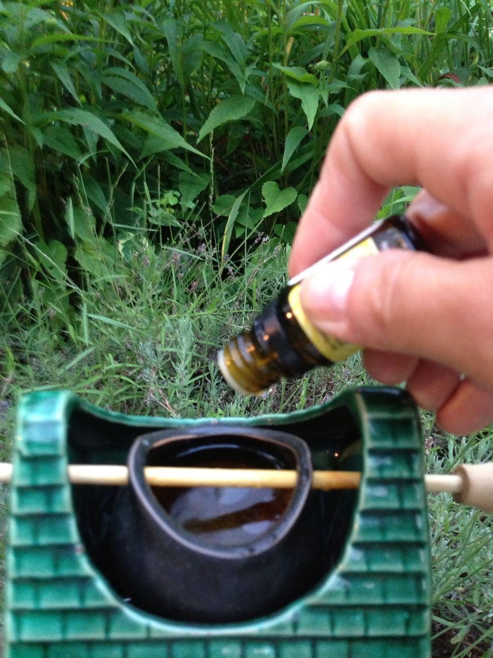 Add a few drops of your chosen Essential Oil. I use Lemongrass to repel bugs, Orange for energy, Peppermint when we have headaches, Lavender when the kids are riled up...