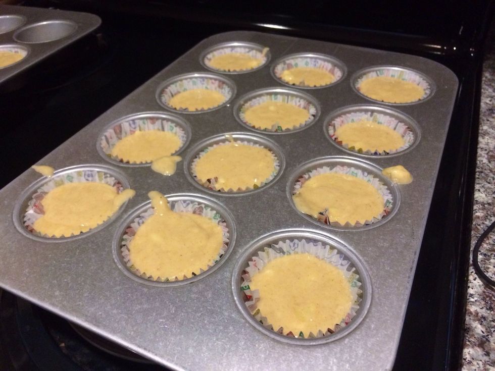 Add a ice cream scoop of mixture to each cup. Leave about 1 cm to the top of the cup.