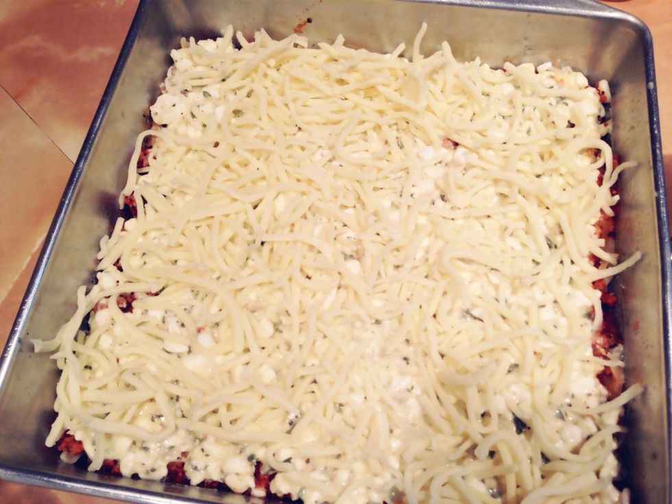 Add a layer of half a pound of Parmesan cheese.