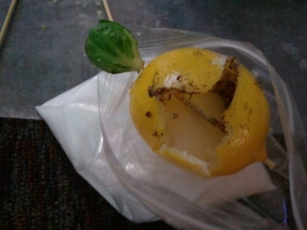 Add a layer of natron to the bottom of the baggie.  Fill the cavity of the citrus fruit with natron.