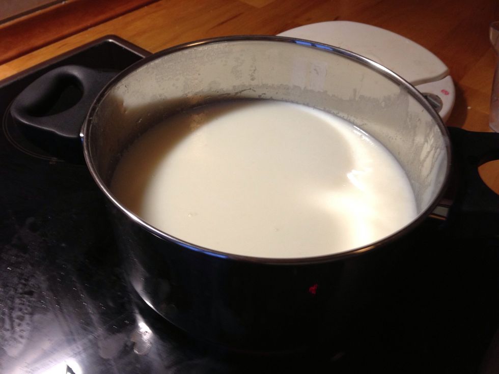 Add a liter of milk, and set it to low heat