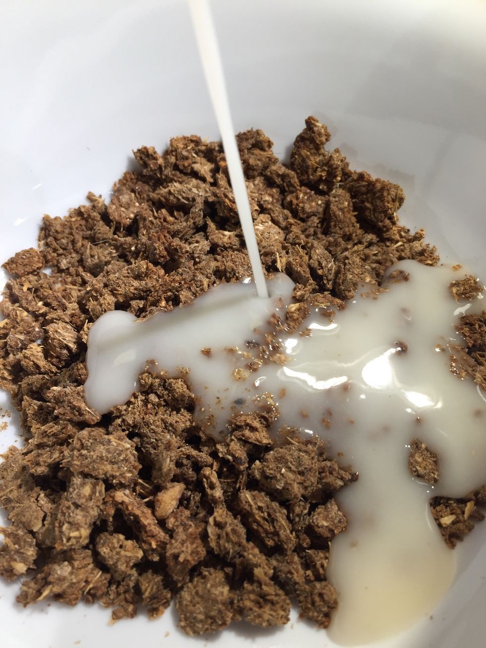 Add a mix of coconut butter and coconut oil to bind the crumbs. Do add more coconut oil to the mix if you find it too thick.
