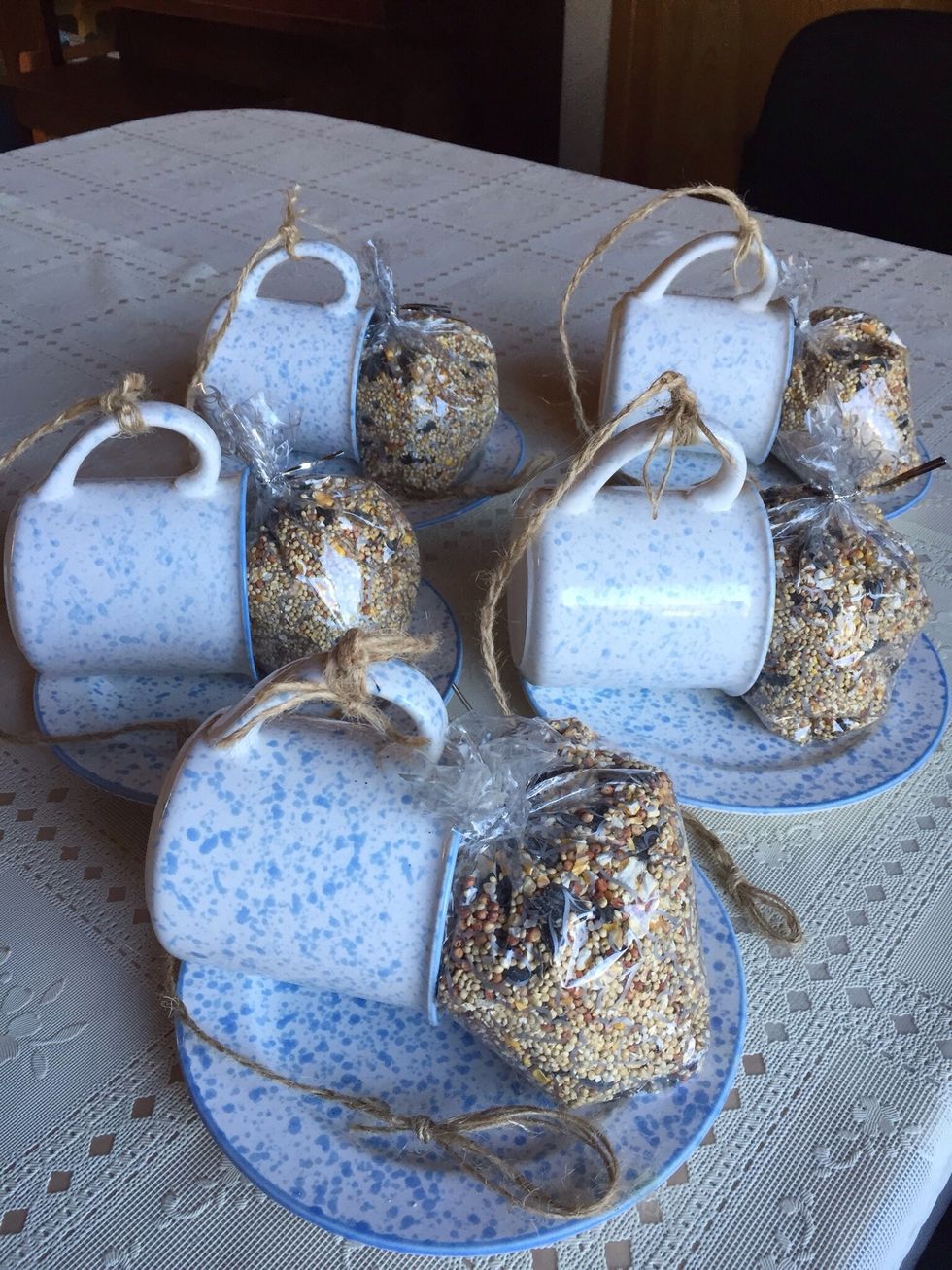Add a package of birdseed for a fun gift.