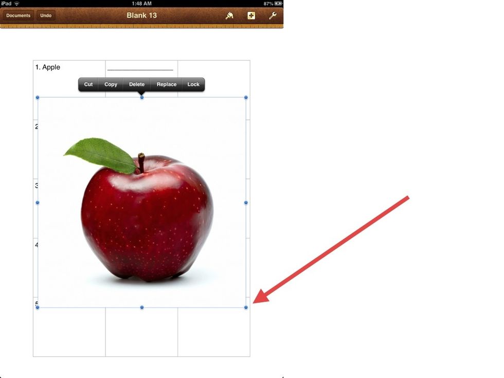 Add a picture. I added an APPLE. Use the BLUE HANDLES to adjust the size.