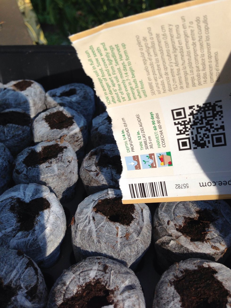 Add a seed or two into the hole you made. Then lightly cover with some soil. Press your finger down, making the top slightly firm.