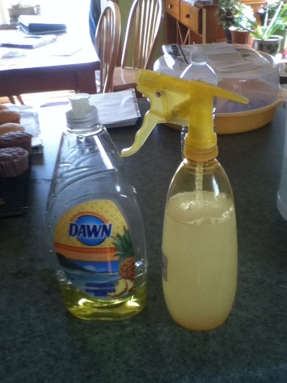 Add a squirt of dish soap - you don't have to be exact, it just helps the mixture stick to the plant. Swirl gently - you don't want too many bubbles.