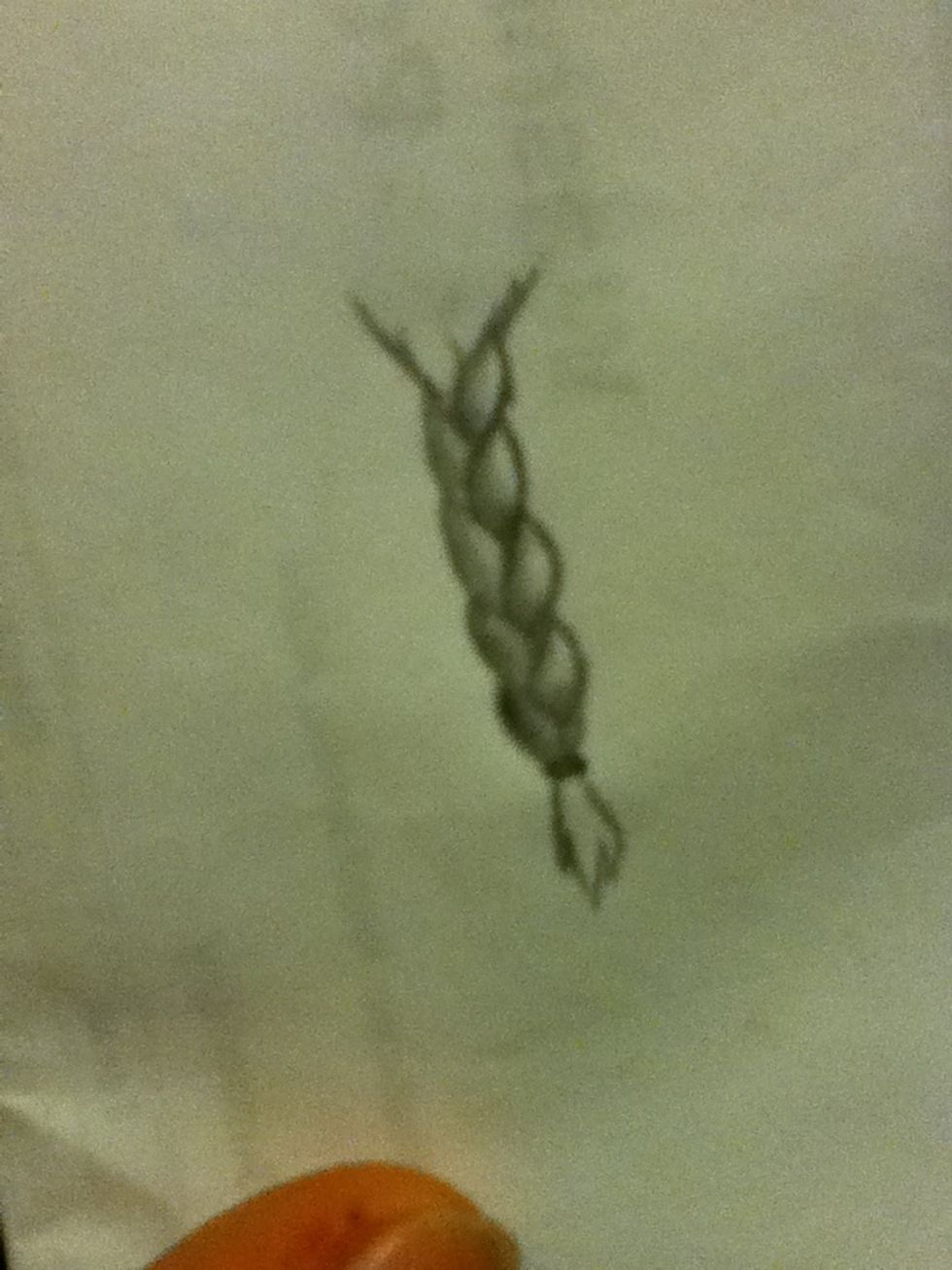 Add a tuft of hair after the oval and widen the top to start the head