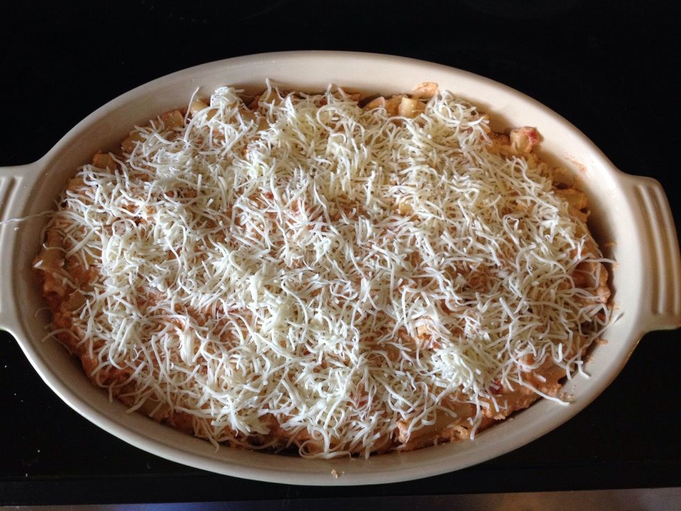 Add about 1 cup of mozzarella on top